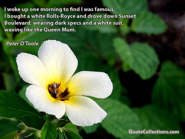 Peter O'Toole Quotes2